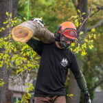 Tree Services