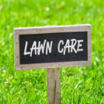 Lawn Care