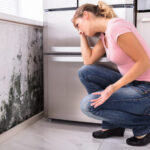 Mold Remediation