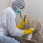 Mold Remediation