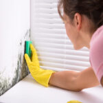 Mold Remediation