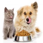 Animal Food & Treats