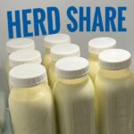 Herd Shares